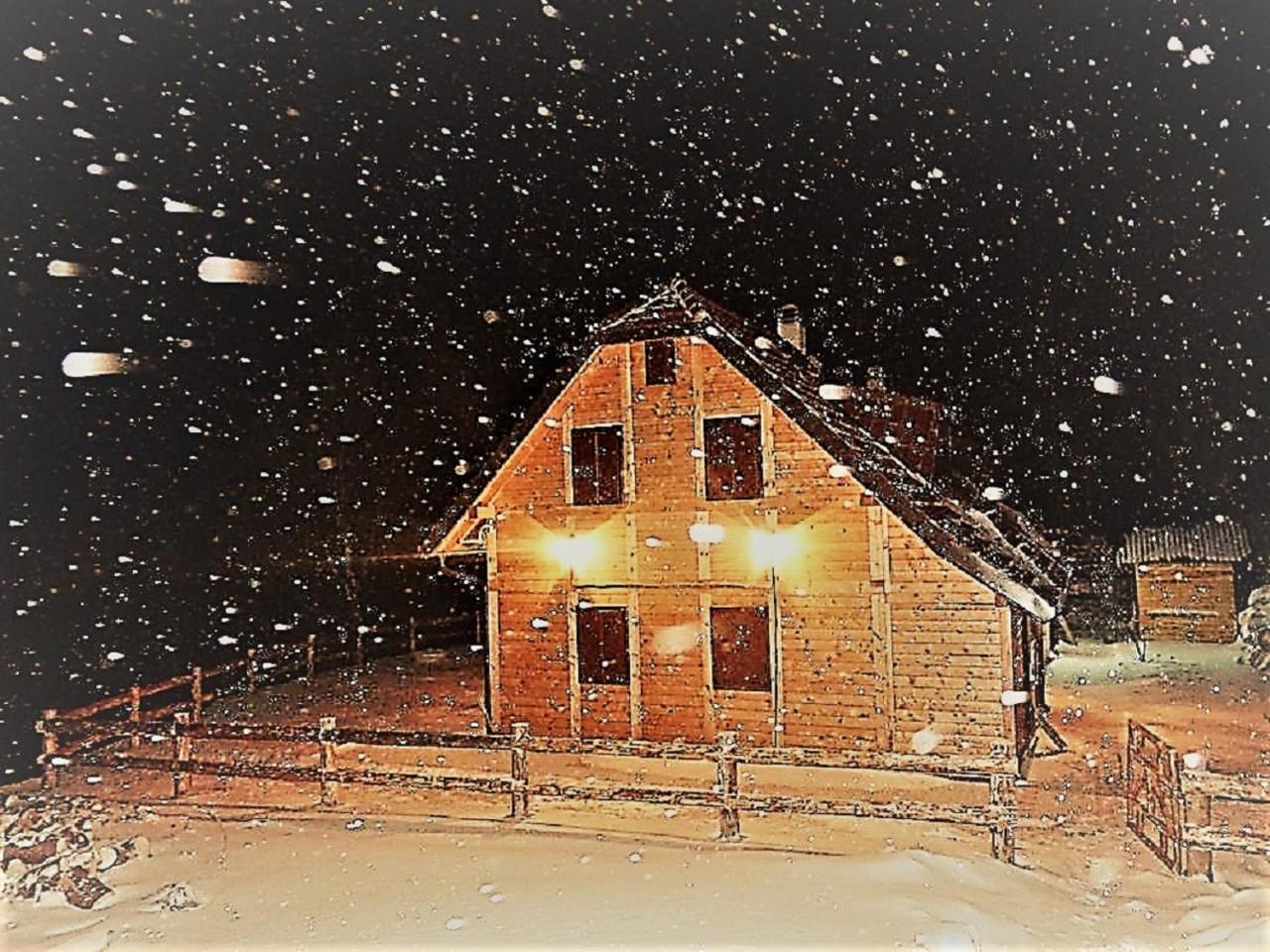 Vikendica Vila Despotovic Kopaonik Exterior photo